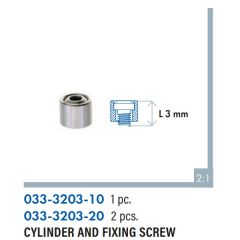 Cylinder and Fixing Screw